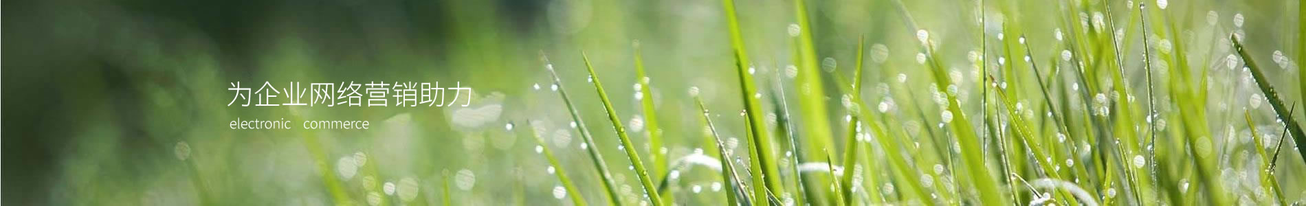֣ӿƼ޹˾